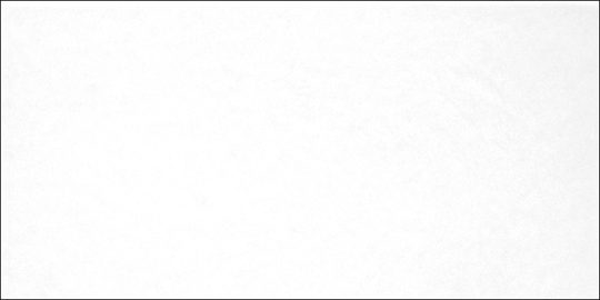 Настенная плитка Alma Ceramica Monocolor 24,9x50 см TWU09MNR020